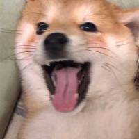 希霙女孩绝不认输